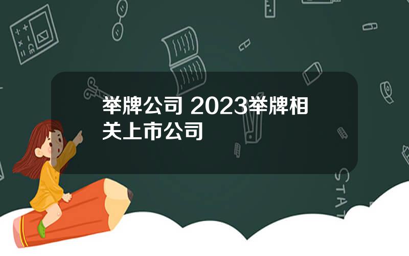 举牌公司 2023举牌相关上市公司